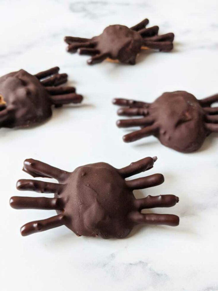 07 Chocolate Peanut Butter Spiders