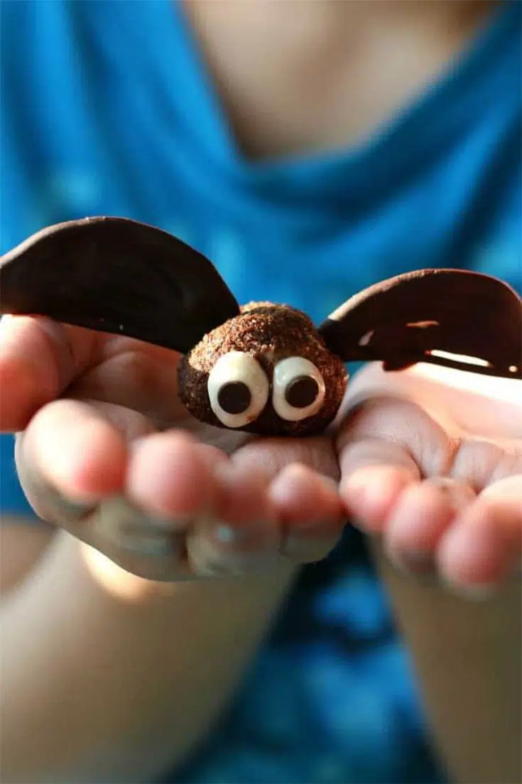 11 cute brownie bats
