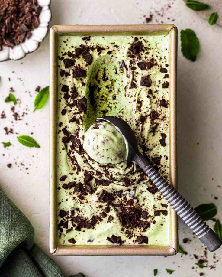 17 vegan mint chocolate ice cream