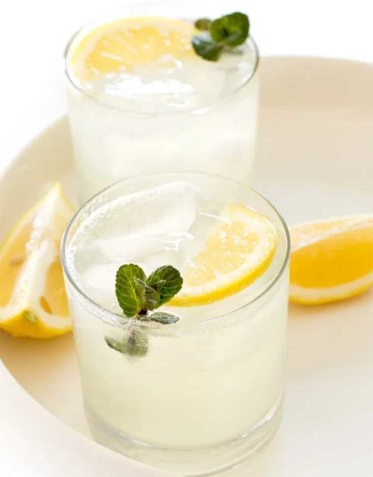 19 homemade lemonade recipe