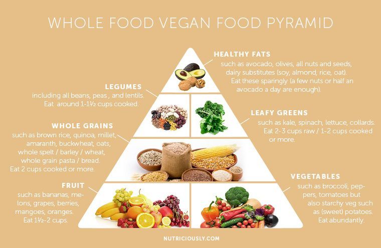 1400 Calorie Diet With Food Pyramid