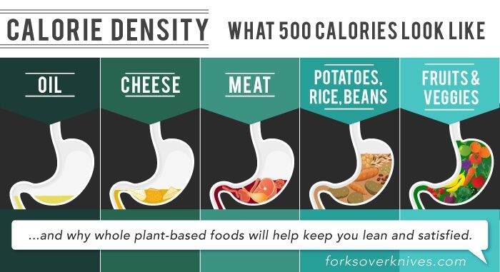 graphic that showcases calorie density with different foods in stomach