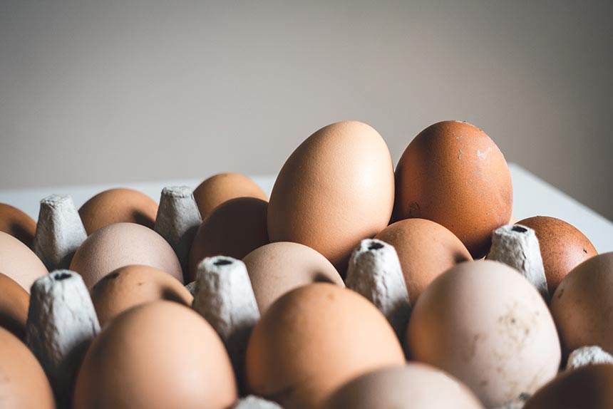 Do Vegans Eat Eggs + Are Backyard Eggs Good