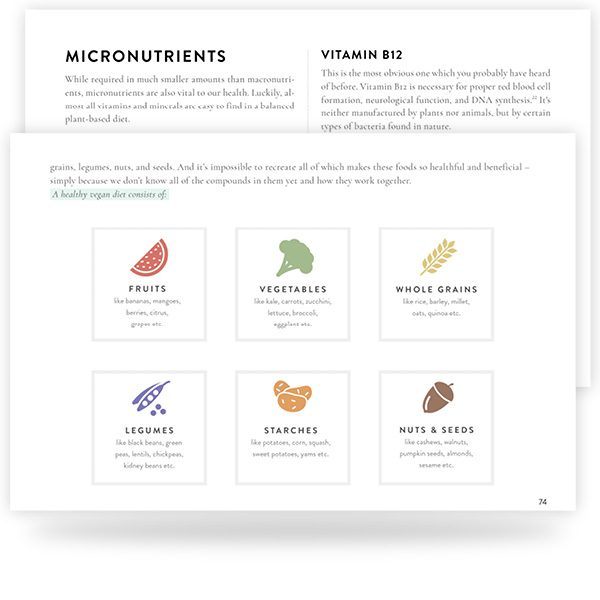 Two sample pages depicting the food groups on a whole food plant-based diet and micronutrients of concern