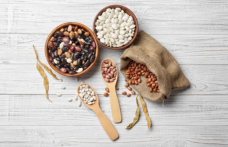plant based protein beans legumes