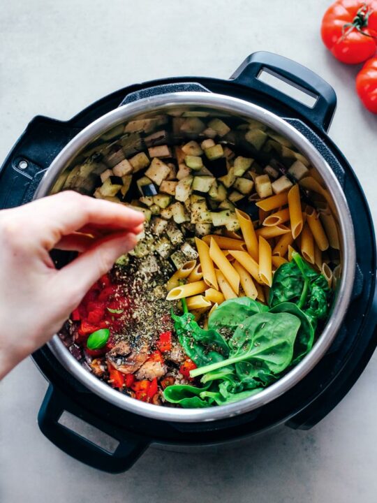 Flavorful Instant Pot Recipes for Your 3QT Mini