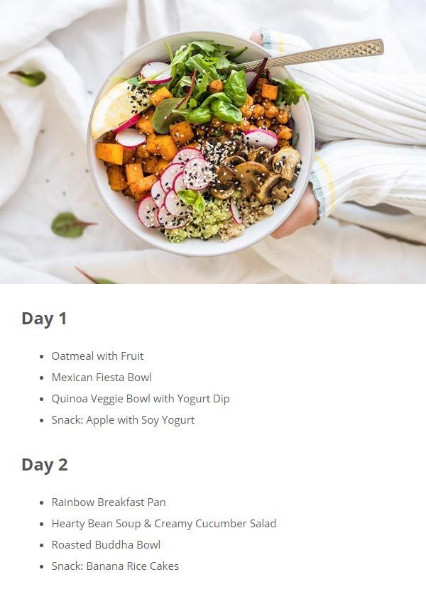meal plan snippet from the vegan weight loss email challenge