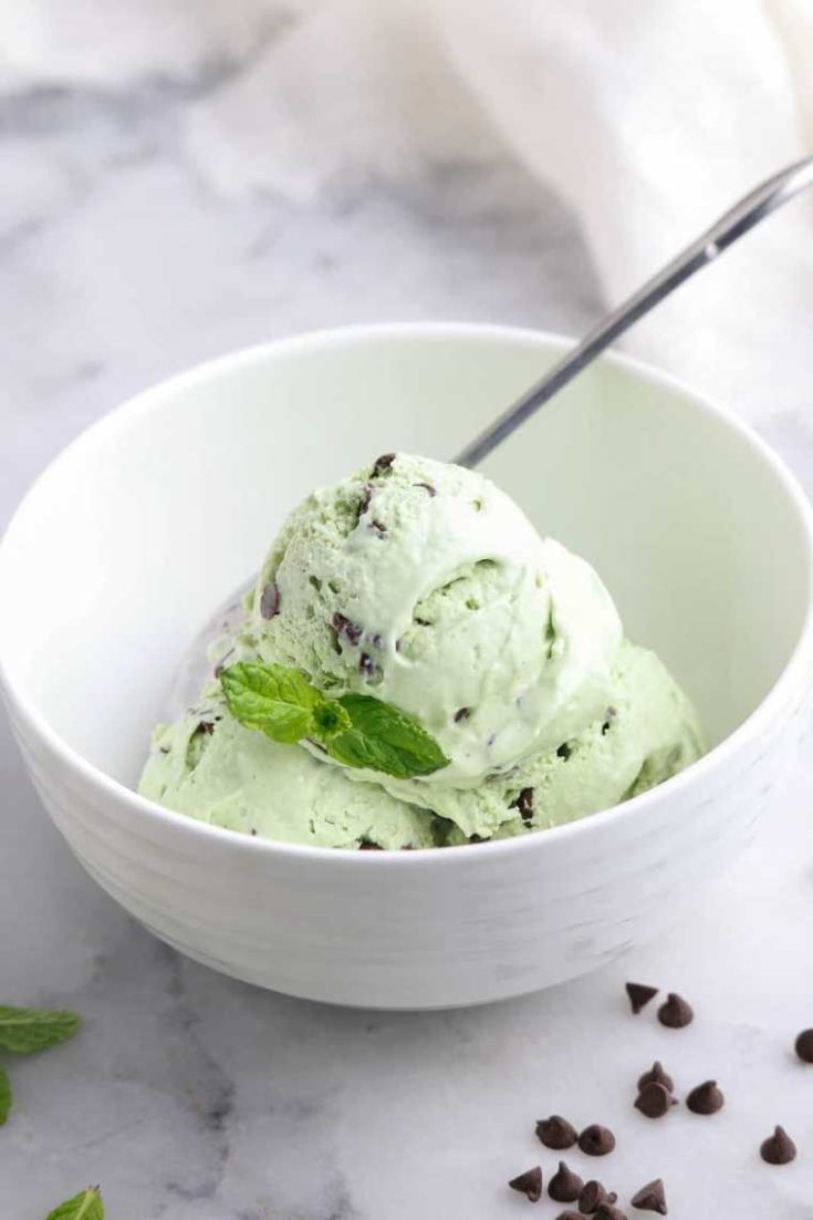 21 vegan mint chocolate chip ice cream