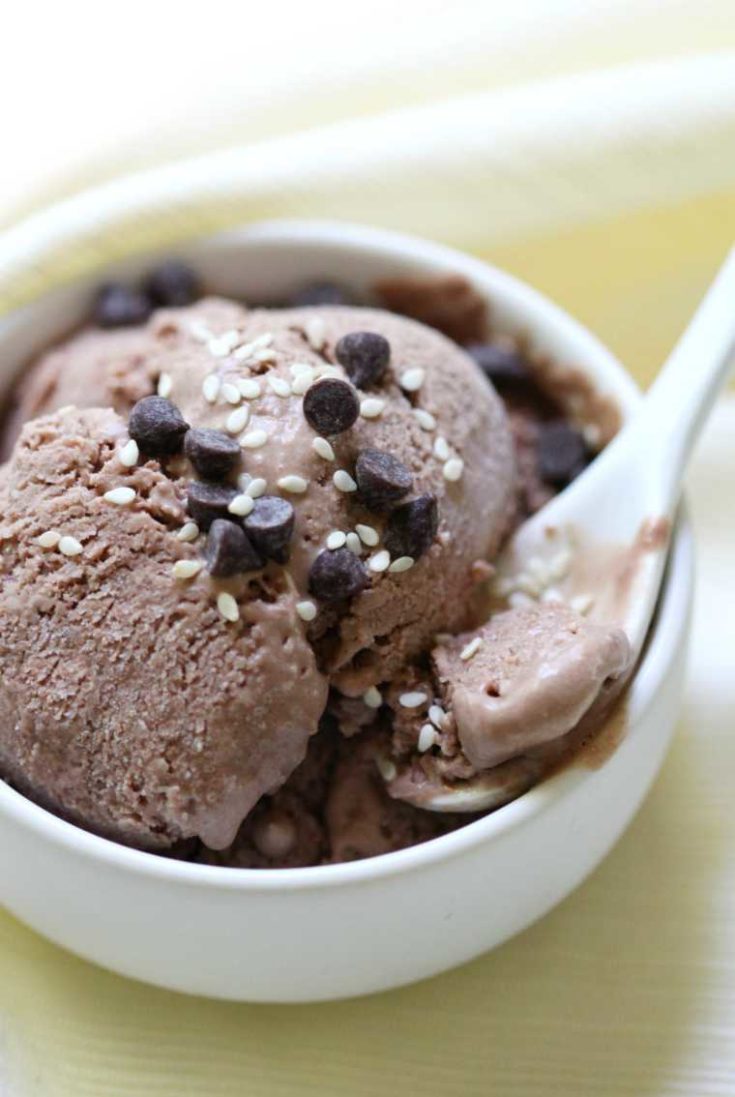 22 No Churn Tahini Chocolate Ice Cream
