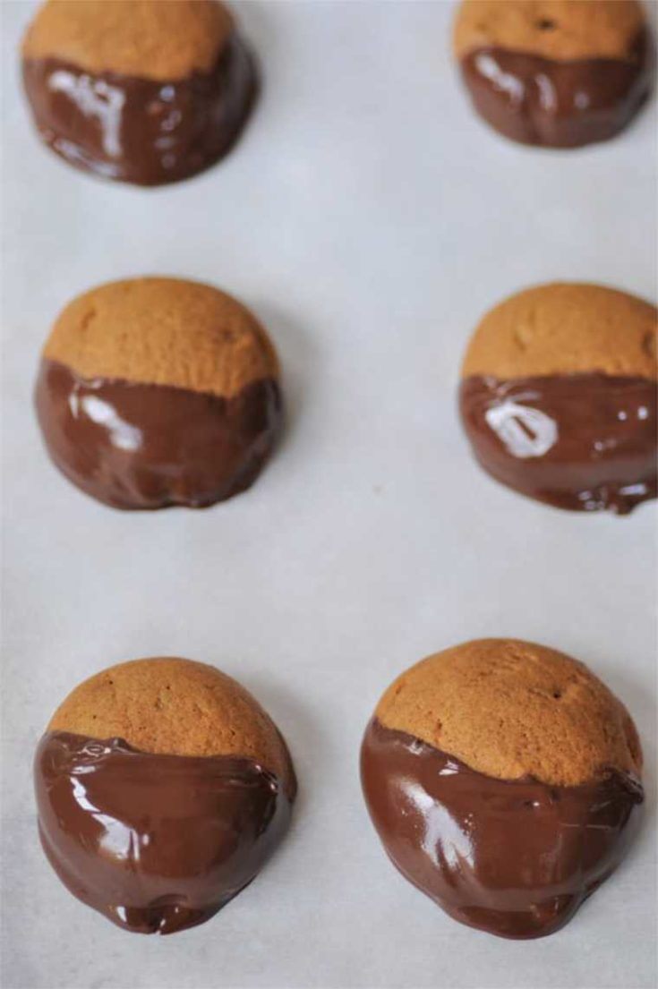 28 Vegan Chocolate Dipped Ginger Cookies