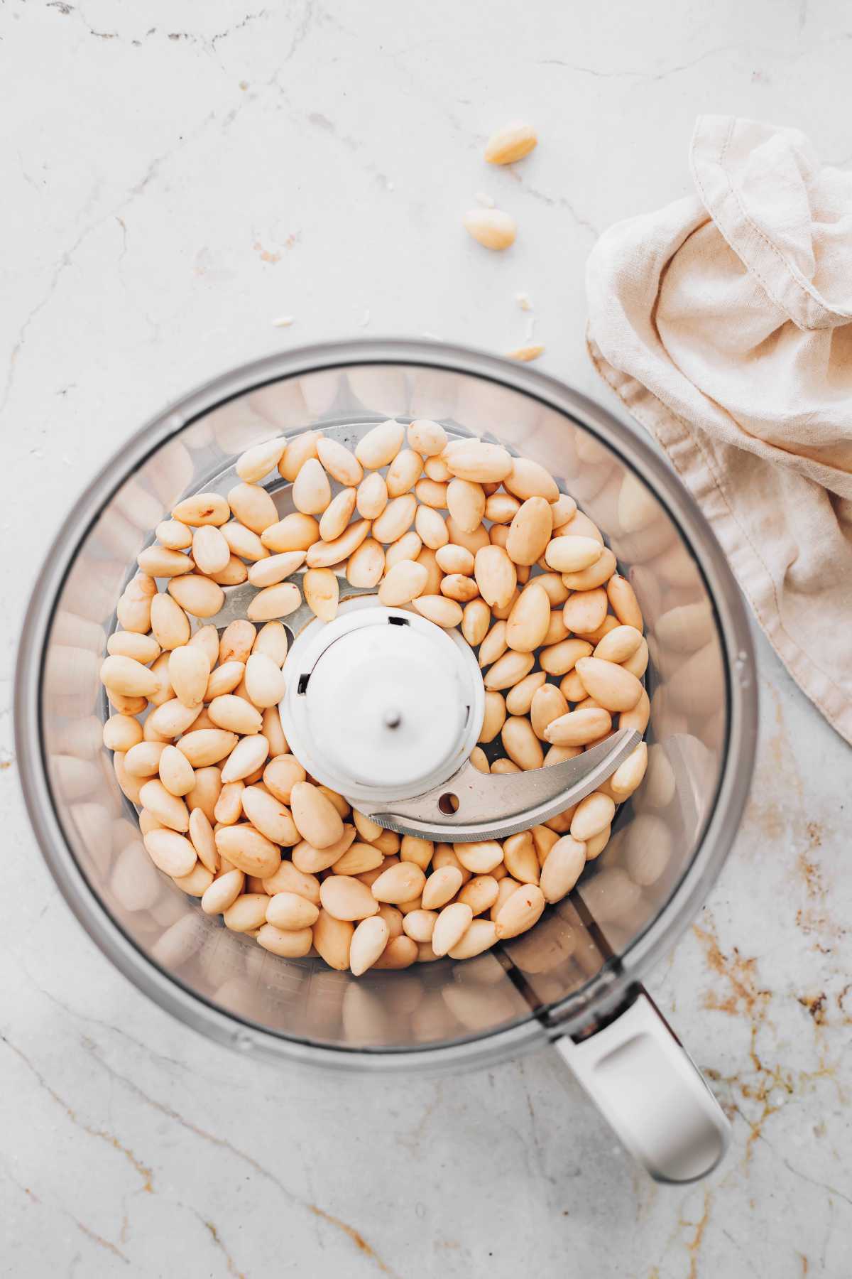 blanched almonds in a food processor