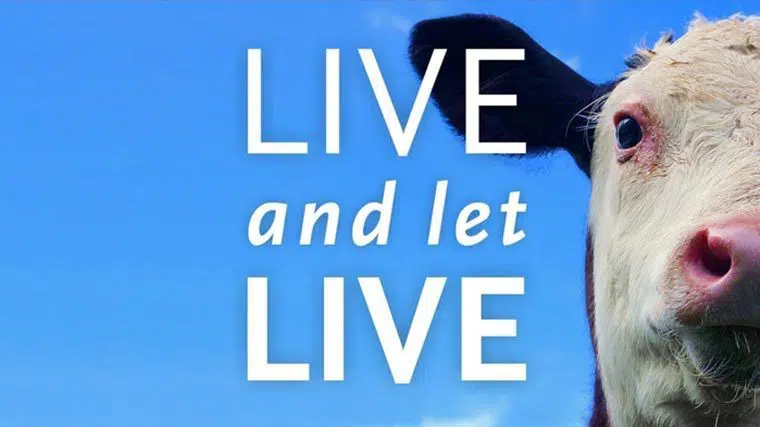 Closeup of a cows face next to the words Live and Let Live on blue background