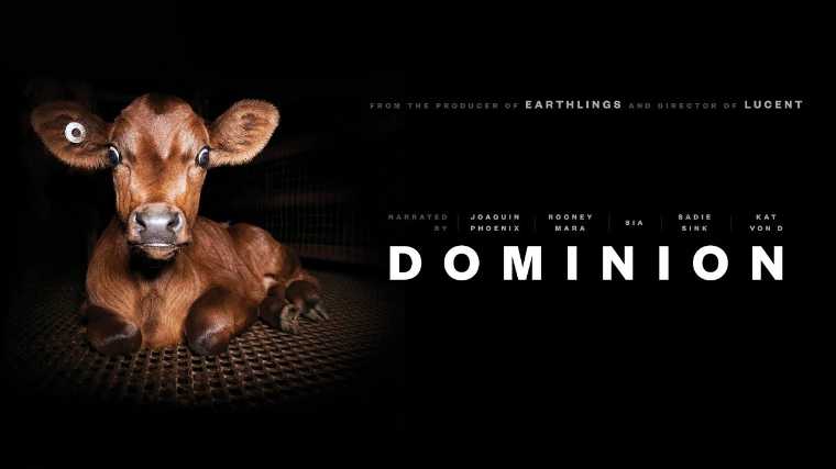 Dominion film image with scared looking cow next to the text Dominion