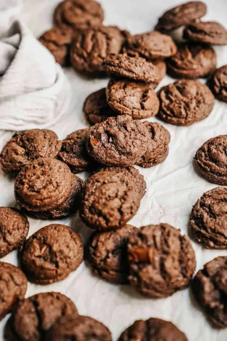 Double Choclate Vegan Protein Cookies
