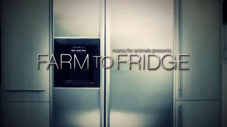 Silver fridge with text Farm to Fridge