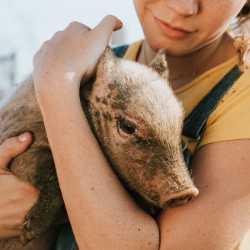 Woman holding pig