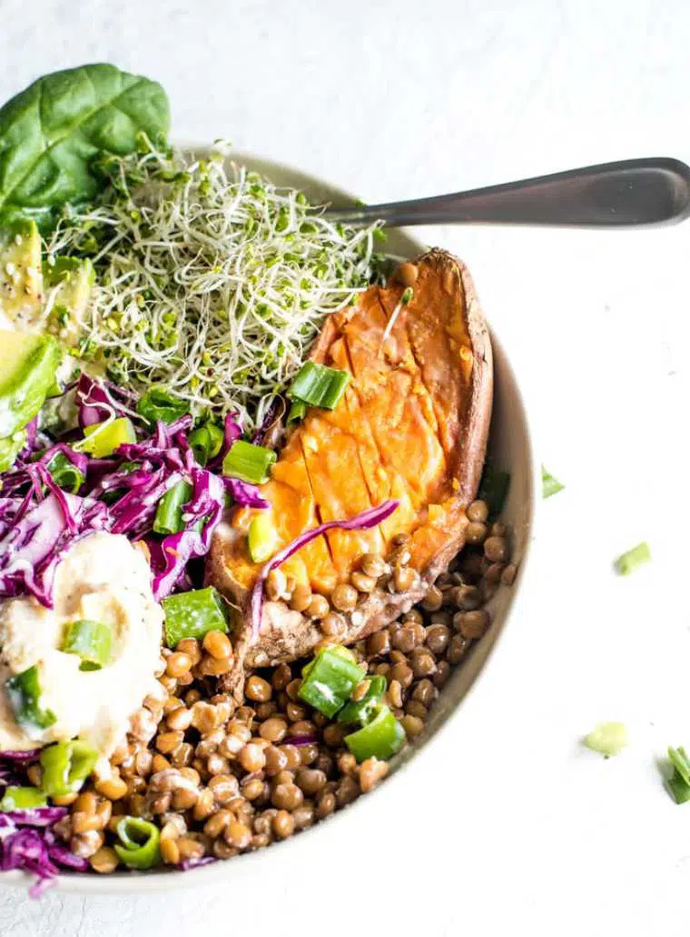 bowl with colorful healthy plant based foods like lentils, sweet potatoes, red cabbage and sprouts topped with hummus