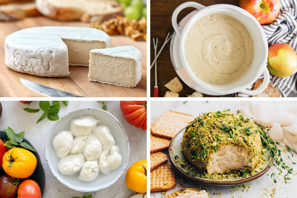 4 vegan cheese recipes from camembert to almond cheese, mozzarella, and fondue