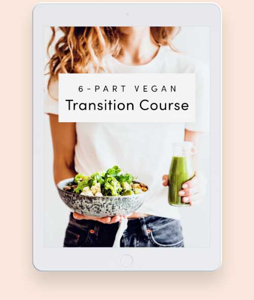 Cours de transition nutritionnelle sur iPad