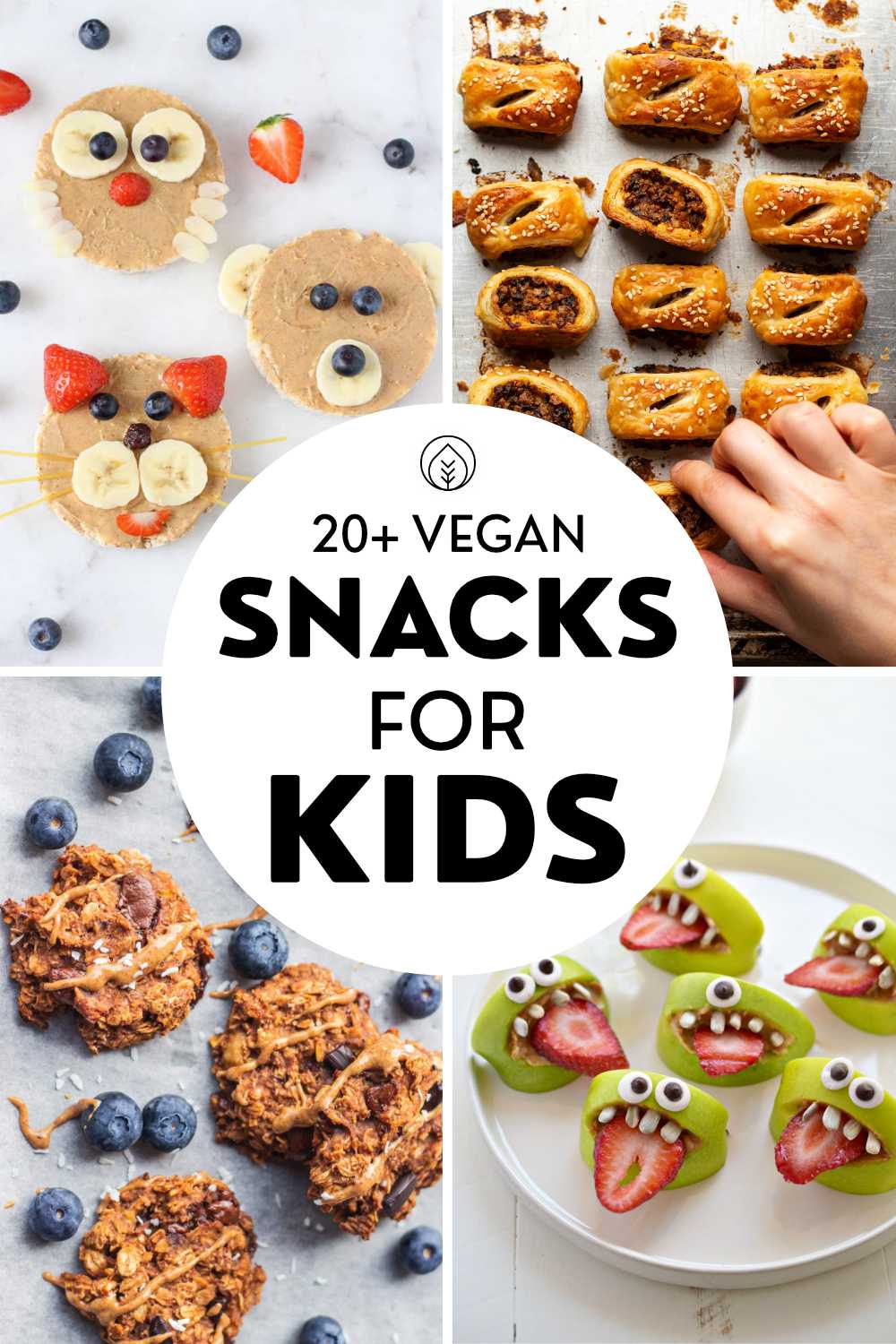 Vegan Kids Snacks Pin 1