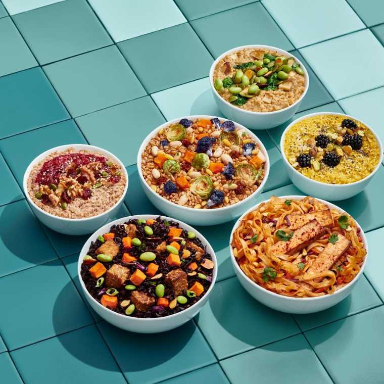 six large bowls of plant-based food like rice and tofu, oatmeal, noodles or salads by the meal delivery brand Mosaic
