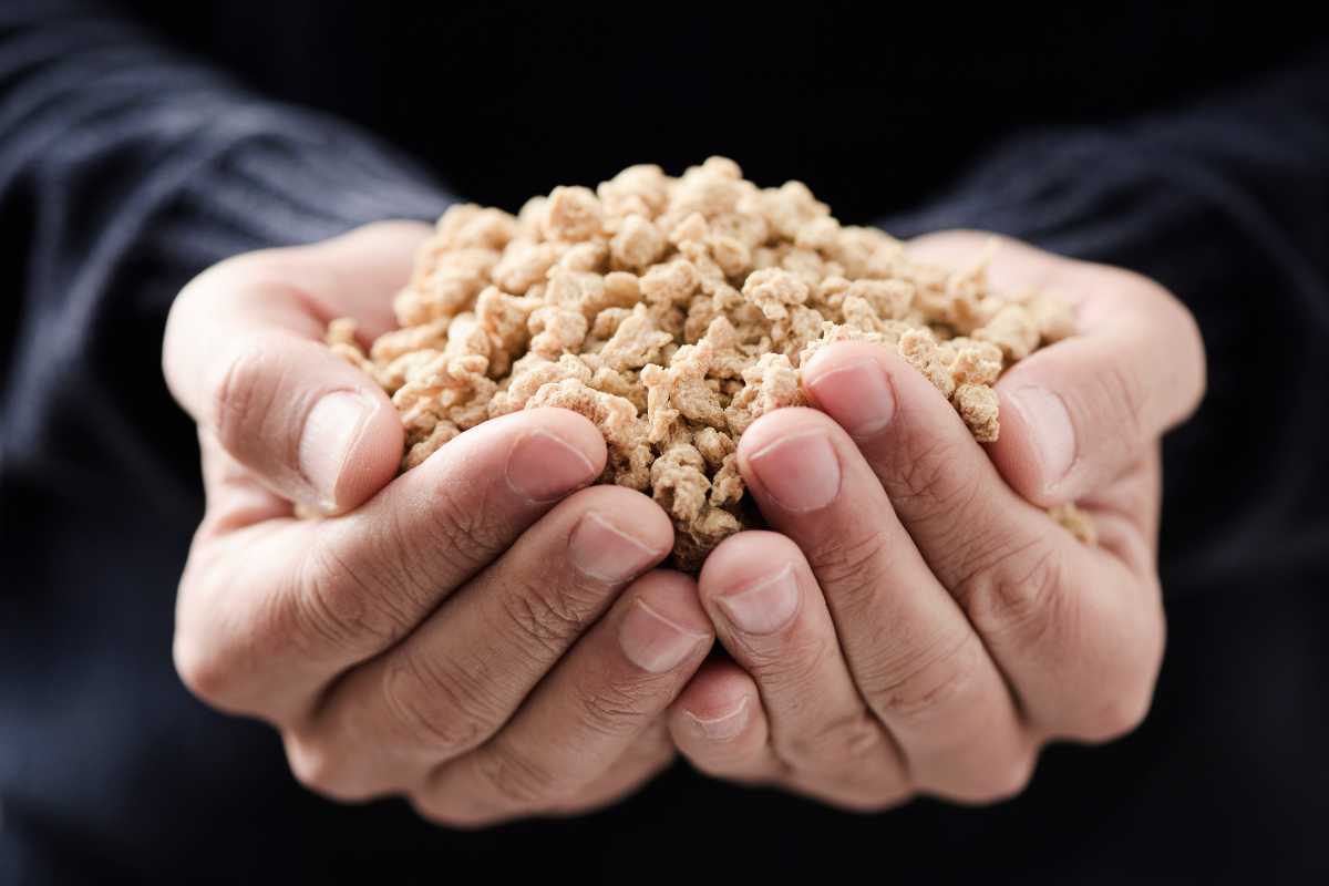 two hands holding TVP (textured vegetable protein)
