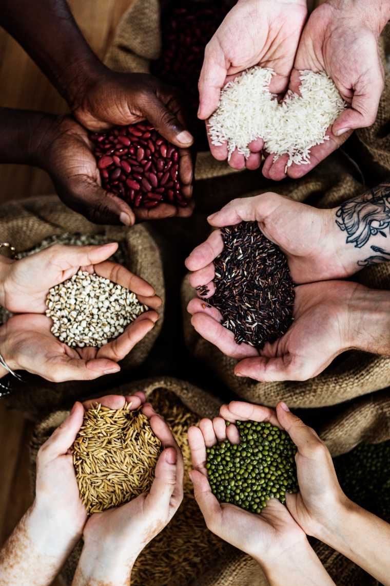 six pairs of hands holding different grains and legumes