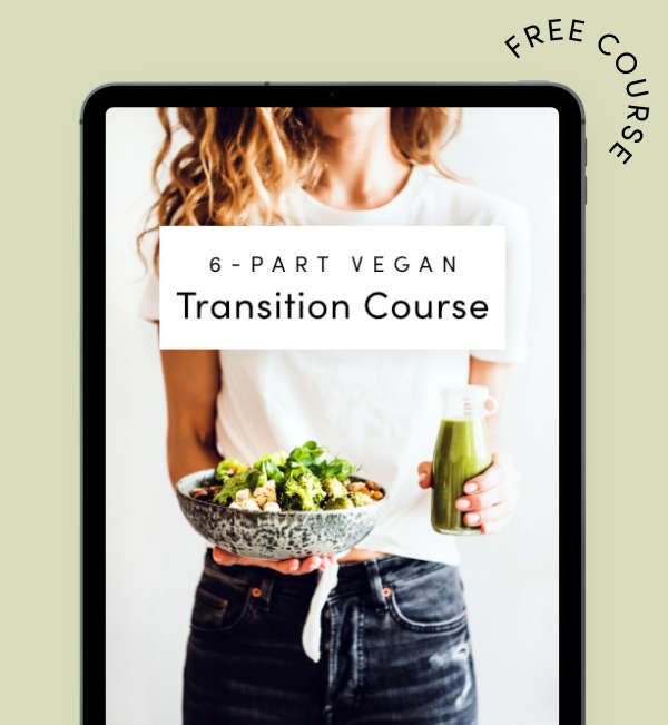iPad Pro Vegan Transition Course Green