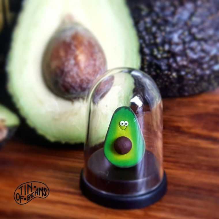 pet avocado